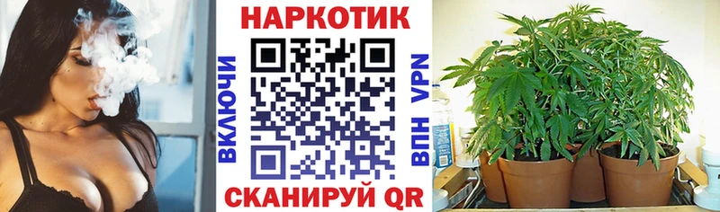 Наркошоп Пошехонье МАРИХУАНА  Альфа ПВП  ГАШ  АМФ  Меф 