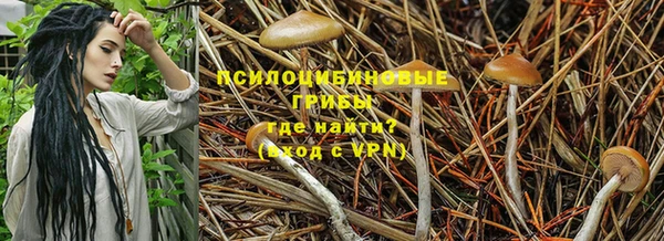 первитин Алексеевка